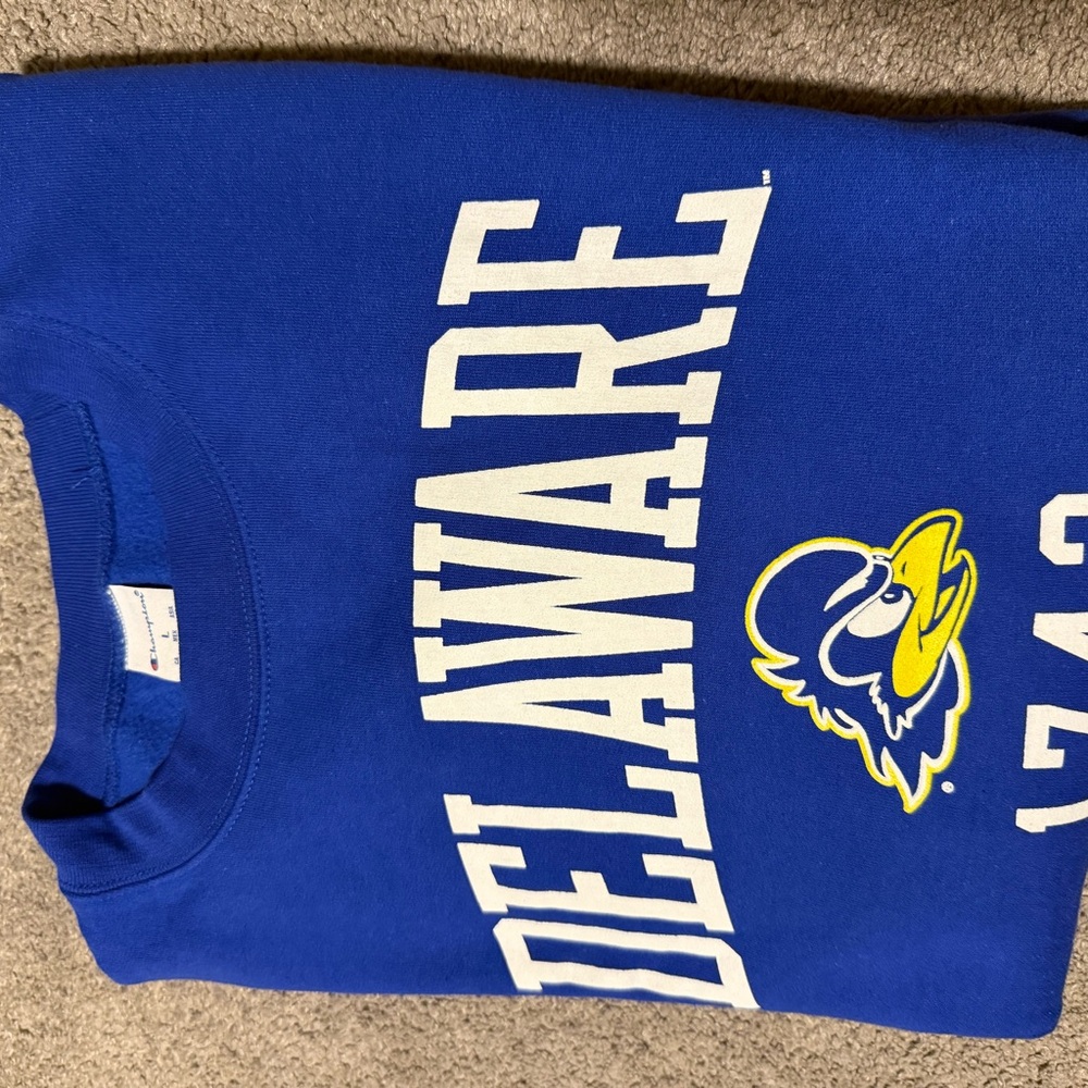 Blue Delaware Sweatshirt